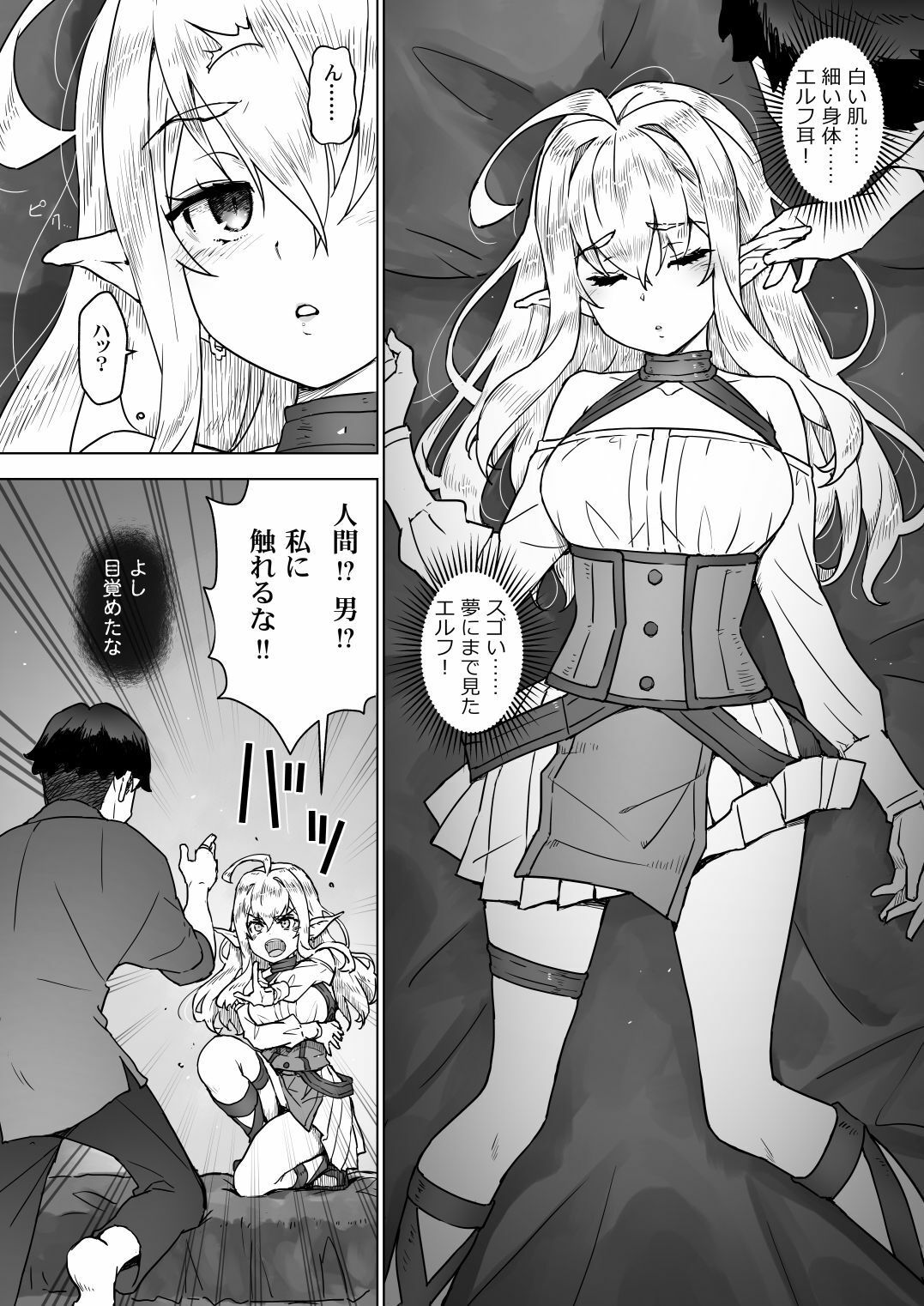 異世界エルフはイかされない！【エロ漫画】d_819529 | はぁと饅頭マニア
